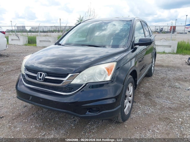 12642686 :رقم المزاد ، 5J6RE3H38AL800516 vin ، 2010 Honda Cr-v Lx مزاد بيع