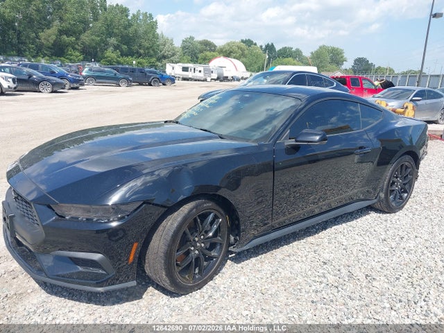 Ford Mustang 2024 1FA6P8TH9R5146313 Image 6