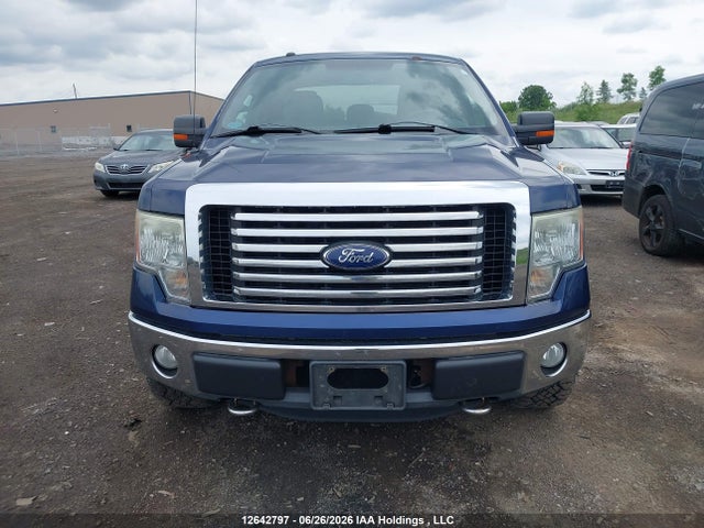 12642797 :رقم المزاد ، 1FTFX1EF8BFA96503 vin ، 2011 Ford F-150 Xlt مزاد بيع