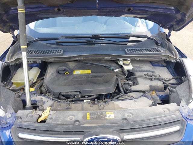 Auction sale of the 2013 Ford Escape Se, vin: 1FMCU0GX7DUB04130, lot number: 12642844