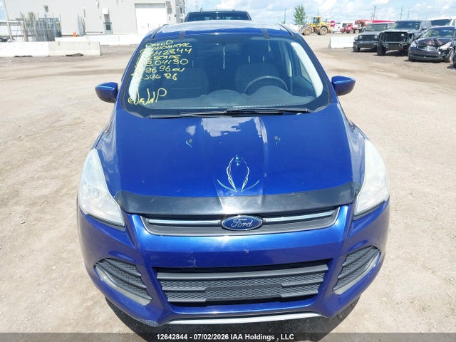 Auction sale of the 2013 Ford Escape Se, vin: 1FMCU0GX7DUB04130, lot number: 12642844