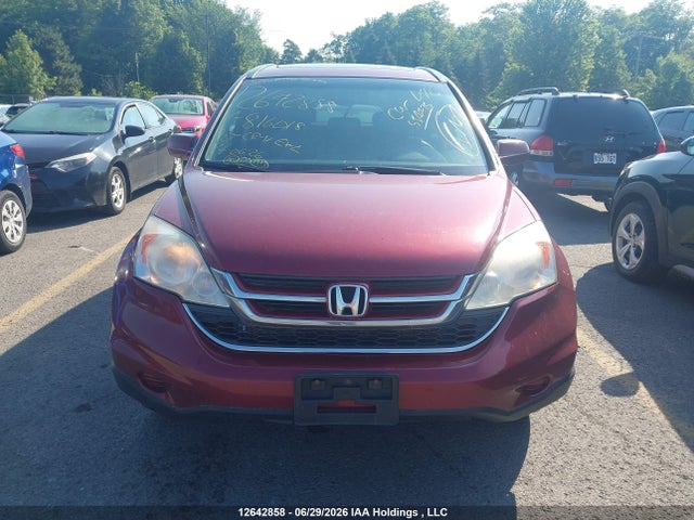 12642858 :رقم المزاد ، 5J6RE4H75AL816018 vin ، 2010 Honda Cr-v Ex-l مزاد بيع