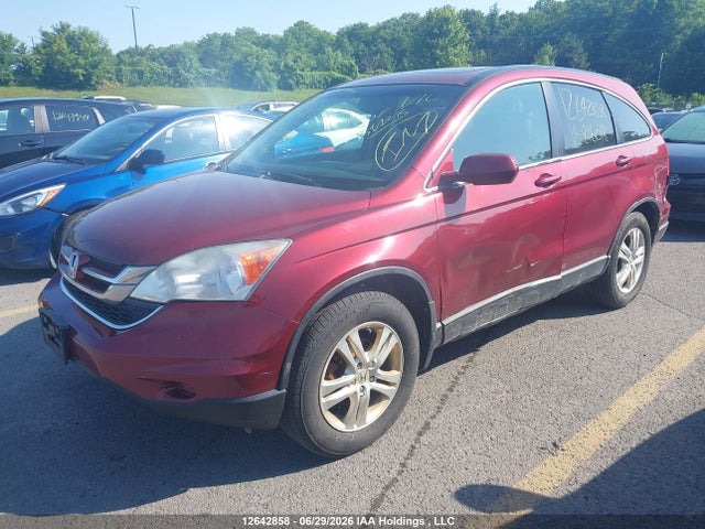 12642858 :رقم المزاد ، 5J6RE4H75AL816018 vin ، 2010 Honda Cr-v Ex-l مزاد بيع