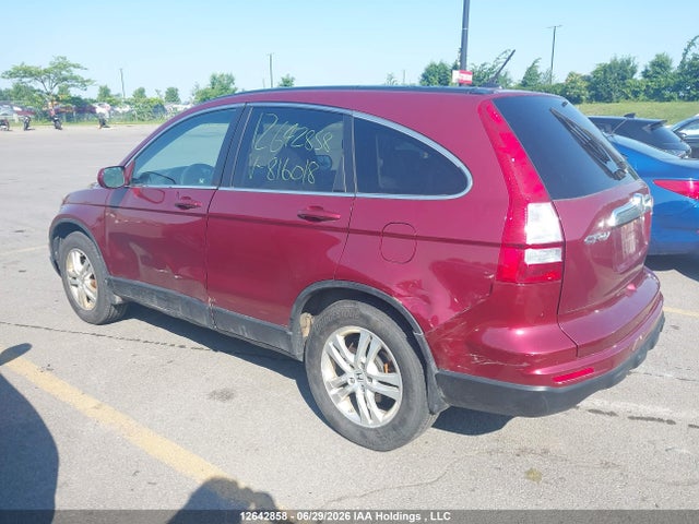 12642858 :رقم المزاد ، 5J6RE4H75AL816018 vin ، 2010 Honda Cr-v Ex-l مزاد بيع