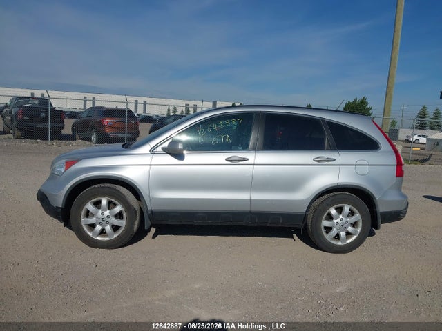 2009 Honda Cr-v Exl მანქანა იყიდება აუქციონზე, vin: 5J6RE48739L809225, აუქციონის ნომერი: 12642887