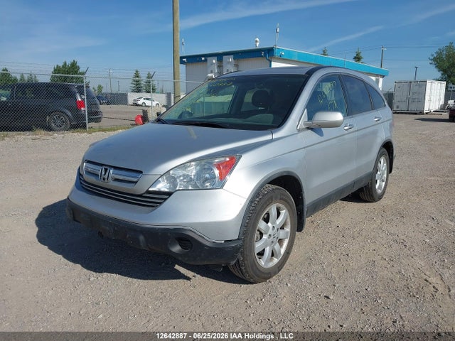 2009 Honda Cr-v Exl მანქანა იყიდება აუქციონზე, vin: 5J6RE48739L809225, აუქციონის ნომერი: 12642887