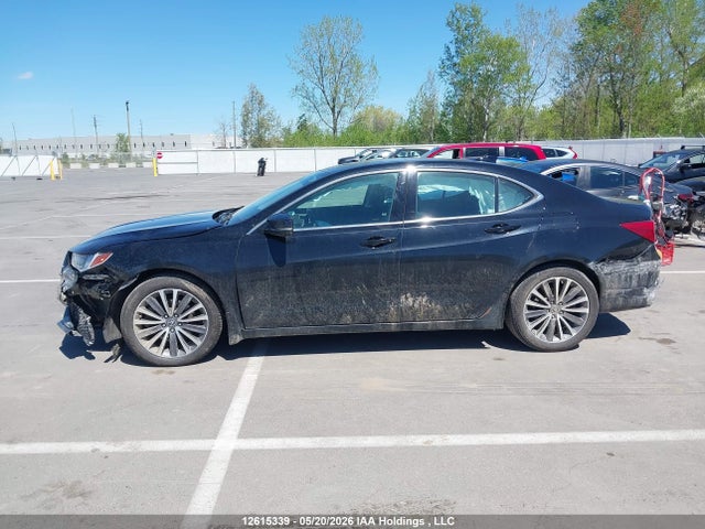 19UUB3F52LA800783 Acura TLX TECH