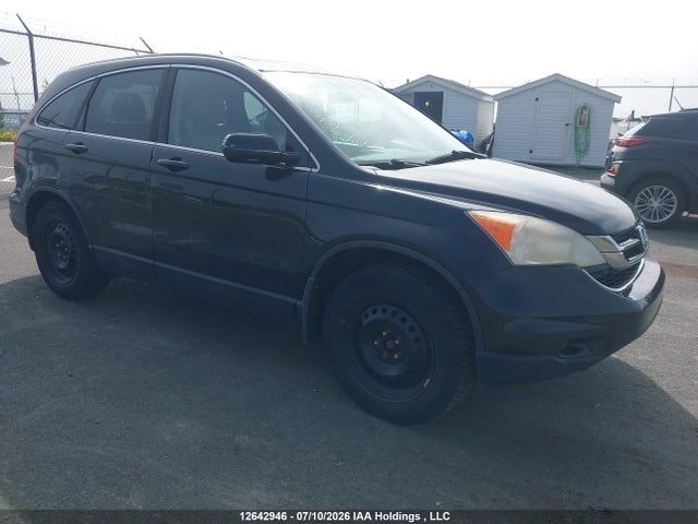 Продаж на аукціоні авто 2010 Honda Cr-v Ex-l, vin: 5J6RE4H75AL815550, номер лоту: 12642946