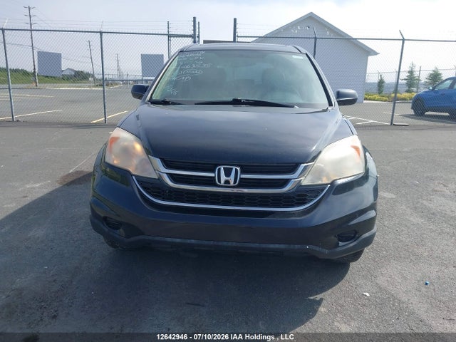Продаж на аукціоні авто 2010 Honda Cr-v Ex-l, vin: 5J6RE4H75AL815550, номер лоту: 12642946