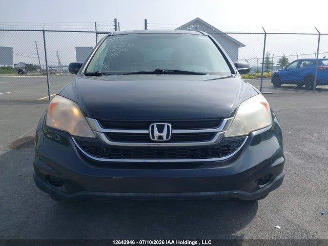 Продаж на аукціоні авто 2010 Honda Cr-v Ex-l, vin: 5J6RE4H75AL815550, номер лоту: 12642946