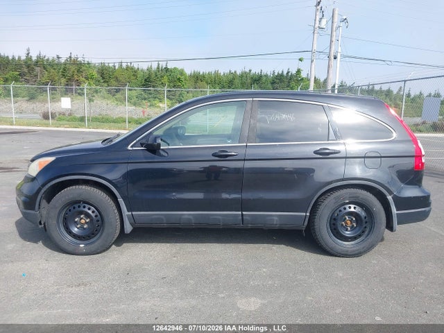 Продаж на аукціоні авто 2010 Honda Cr-v Ex-l, vin: 5J6RE4H75AL815550, номер лоту: 12642946