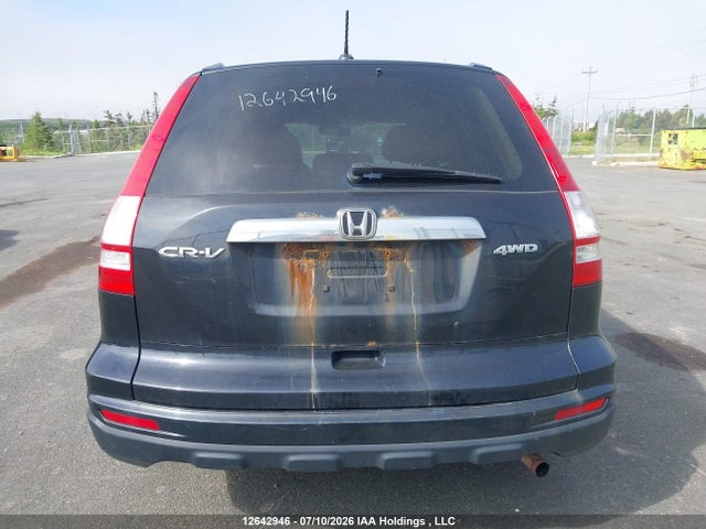 Продаж на аукціоні авто 2010 Honda Cr-v Ex-l, vin: 5J6RE4H75AL815550, номер лоту: 12642946