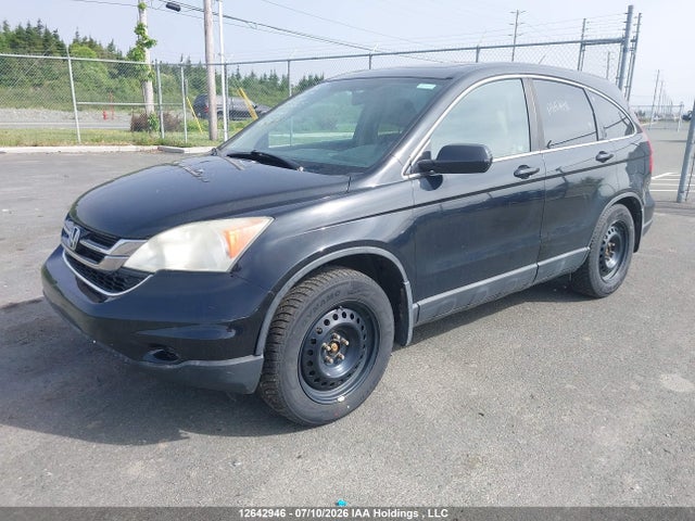 Продаж на аукціоні авто 2010 Honda Cr-v Ex-l, vin: 5J6RE4H75AL815550, номер лоту: 12642946