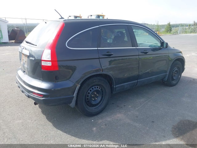 Продаж на аукціоні авто 2010 Honda Cr-v Ex-l, vin: 5J6RE4H75AL815550, номер лоту: 12642946