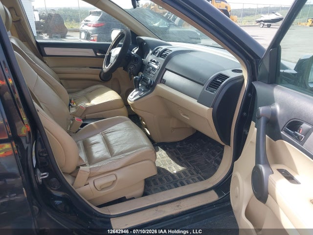 Продаж на аукціоні авто 2010 Honda Cr-v Ex-l, vin: 5J6RE4H75AL815550, номер лоту: 12642946