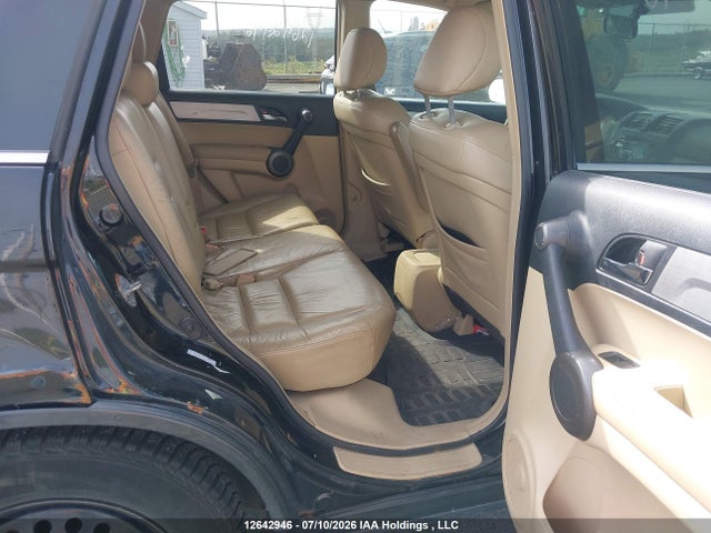 Продаж на аукціоні авто 2010 Honda Cr-v Ex-l, vin: 5J6RE4H75AL815550, номер лоту: 12642946