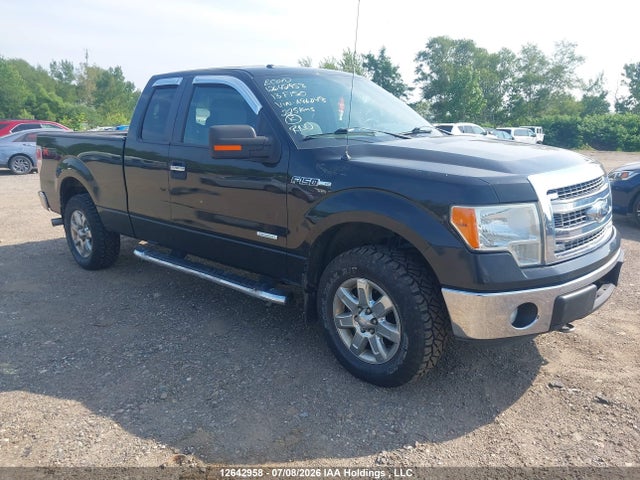 12642958 :رقم المزاد ، 1FTFX1ET9DFA96048 vin ، 2013 Ford F-150 Fx4/lariat/xl/xlt مزاد بيع