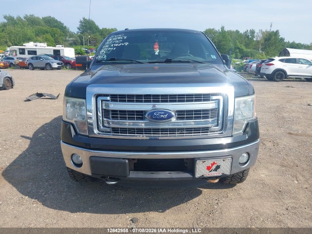 12642958 :رقم المزاد ، 1FTFX1ET9DFA96048 vin ، 2013 Ford F-150 Fx4/lariat/xl/xlt مزاد بيع