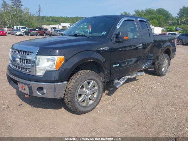 12642958 :رقم المزاد ، 1FTFX1ET9DFA96048 vin ، 2013 Ford F-150 Fx4/lariat/xl/xlt مزاد بيع