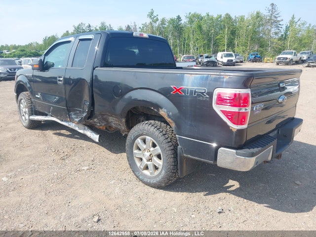 12642958 :رقم المزاد ، 1FTFX1ET9DFA96048 vin ، 2013 Ford F-150 Fx4/lariat/xl/xlt مزاد بيع