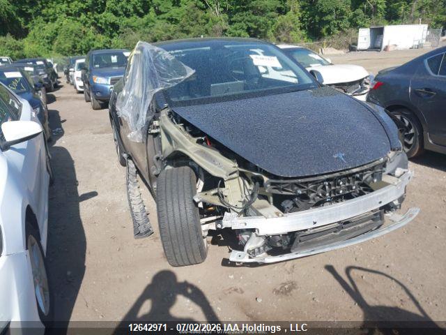 Auction sale of the 2023 Tesla Model Y Long Range, vin: LRWYGDEE0PC136659, lot number: 12642971