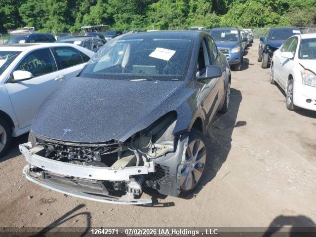 Aukcja sprzedaży 2023 Tesla Model Y Long Range, vin: LRWYGDEE0PC136659, numer aukcji: 12642971