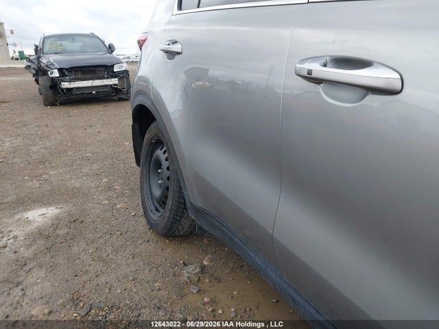 2020 Kia Sportage Ex/ex Premium/ex Premium S/ex S/ex Tech მანქანა იყიდება აუქციონზე, vin: KNDPNCAC8L7666478, აუქციონის ნომერი: 12643022