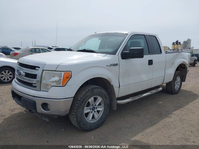 Продаж на аукціоні авто 2013 Ford F150 Super Cab, vin: 1FTFX1EF7DKD62569, номер лоту: 12643038