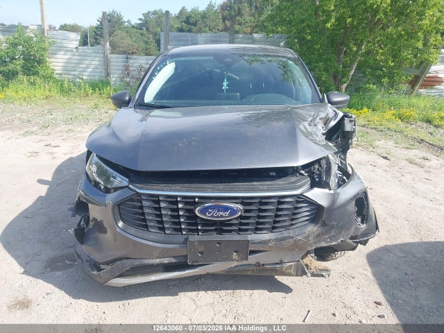 Продаж на аукціоні авто 2025 Ford Escape Active, vin: 1FMCU9GN7SUB07299, номер лоту: 12643060
