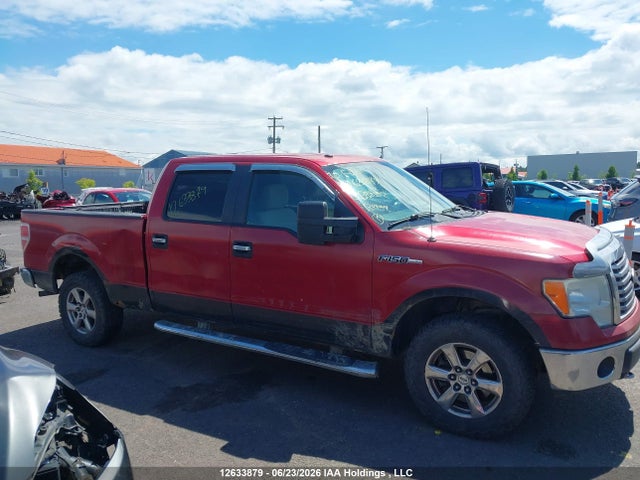 12633879 :رقم المزاد ، 1FTFW1EV1AFB88352 vin ، 2010 Ford F-150 Fx4/harley-davidson/king Ranch/lariat/platinum/xlt مزاد بيع