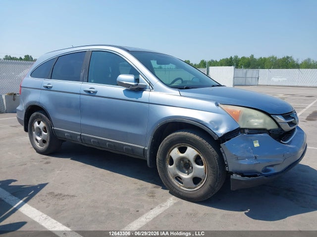 Auction sale of the 2010 Honda Cr-v Ex-l, vin: 5J6RE4H75AL814382, lot number: 12643306