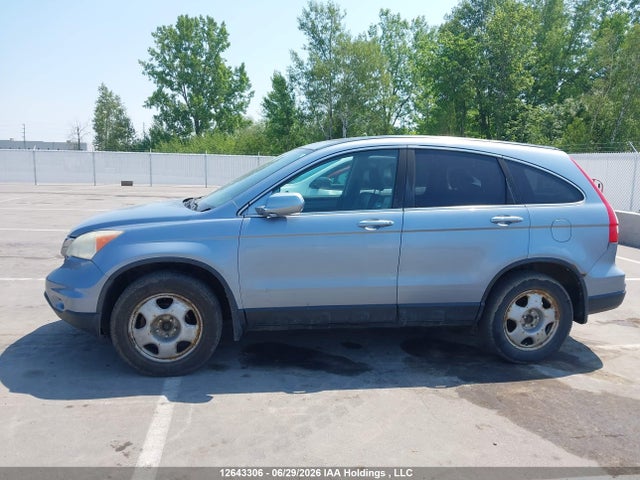 2010 Honda Cr-v Ex-l მანქანა იყიდება აუქციონზე, vin: 5J6RE4H75AL814382, აუქციონის ნომერი: 12643306