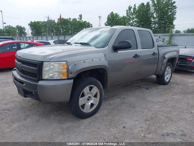 2009 Chevrolet Silverado K1500 მანქანა იყიდება აუქციონზე, vin: 3GCEK13369G126612, აუქციონის ნომერი: 12643381