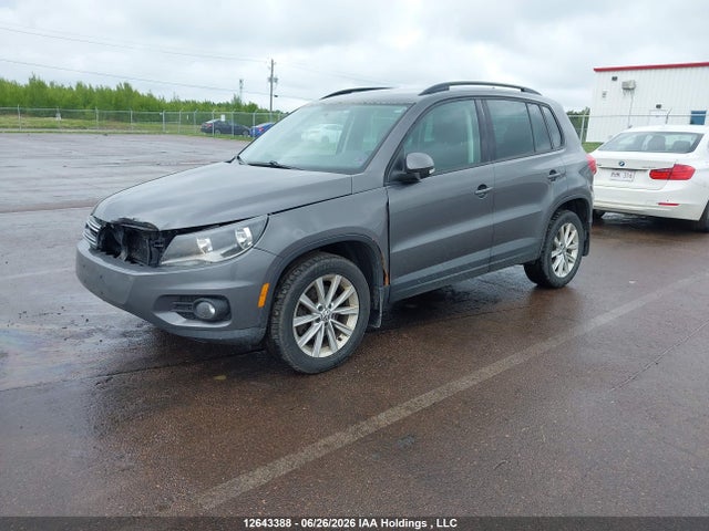 12643388 :رقم المزاد ، WVGJV7AX0DW553661 vin ، 2013 Volkswagen Tiguan S/se/sel مزاد بيع