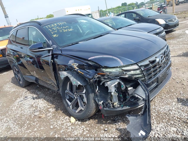 Hyundai Tucson Luxury 2023 KM8JCCA14PU113632 Image 6