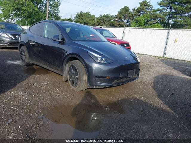 Продажа на аукционе авто 2024 Tesla Model Y Long Range/rwd, vin: LRWYGDFD7RC640439, номер лота: 12643430