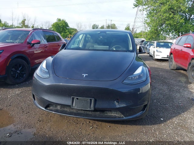 Продажа на аукционе авто 2024 Tesla Model Y Long Range/rwd, vin: LRWYGDFD7RC640439, номер лота: 12643430