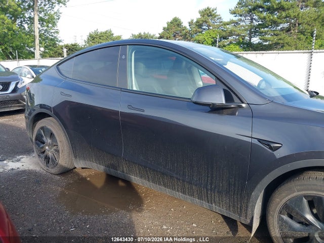 Продажа на аукционе авто 2024 Tesla Model Y Long Range/rwd, vin: LRWYGDFD7RC640439, номер лота: 12643430
