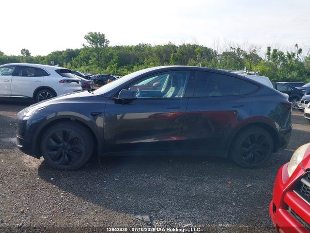 Продажа на аукционе авто 2024 Tesla Model Y Long Range/rwd, vin: LRWYGDFD7RC640439, номер лота: 12643430