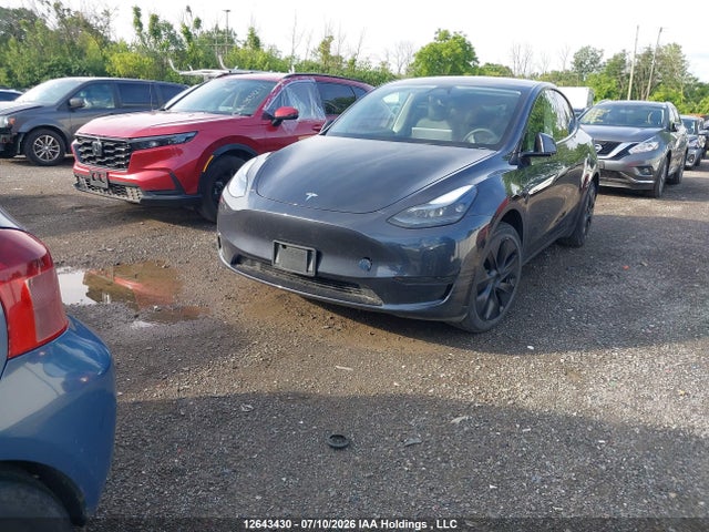 Продажа на аукционе авто 2024 Tesla Model Y Long Range/rwd, vin: LRWYGDFD7RC640439, номер лота: 12643430