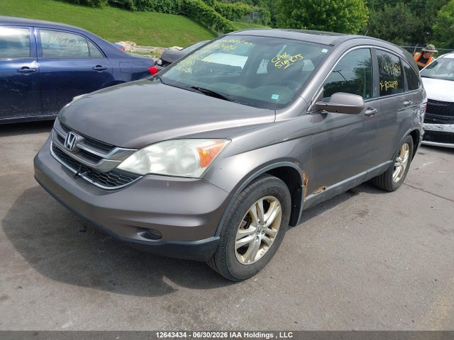 2010 Honda Cr-v Ex მანქანა იყიდება აუქციონზე, vin: 5J6RE4H54AL802299, აუქციონის ნომერი: 12643434