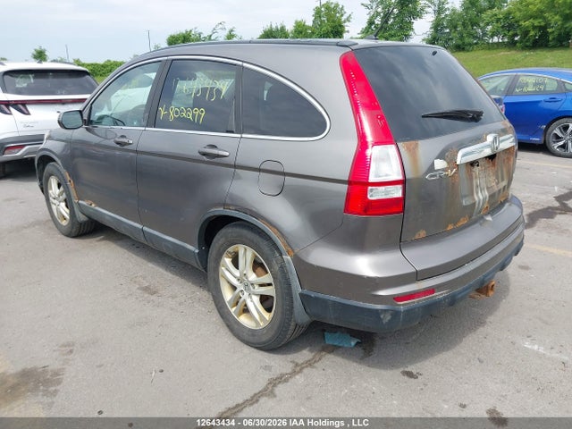 2010 Honda Cr-v Ex მანქანა იყიდება აუქციონზე, vin: 5J6RE4H54AL802299, აუქციონის ნომერი: 12643434