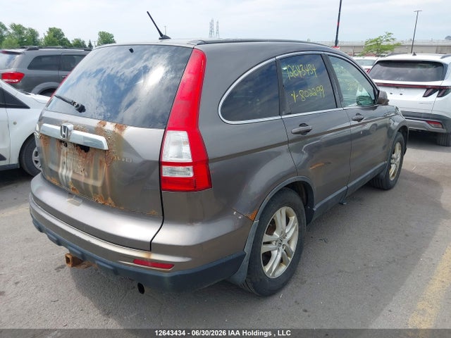 2010 Honda Cr-v Ex მანქანა იყიდება აუქციონზე, vin: 5J6RE4H54AL802299, აუქციონის ნომერი: 12643434