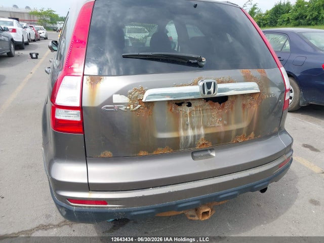 2010 Honda Cr-v Ex მანქანა იყიდება აუქციონზე, vin: 5J6RE4H54AL802299, აუქციონის ნომერი: 12643434
