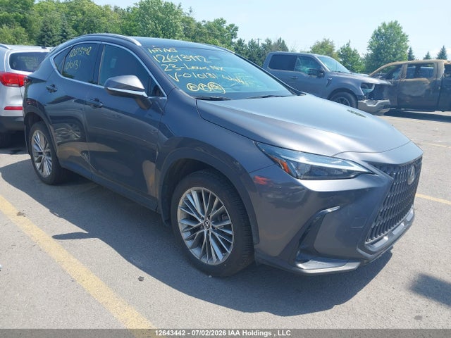 Aukcja sprzedaży 2023 Lexus Nx 350h 350h, vin: 2T2GKCEZ1PC010131, numer aukcji: 12643442