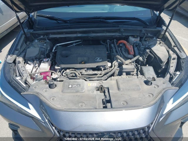 2T2GKCEZ1PC010131 Lexus Nx 350h 350h