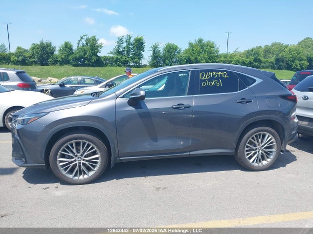 2T2GKCEZ1PC010131 Lexus Nx 350h 350h