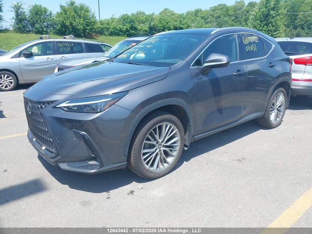 2T2GKCEZ1PC010131 Lexus Nx 350h 350h