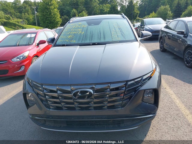 KM8JCCDEXRU294074 Hyundai Tucson