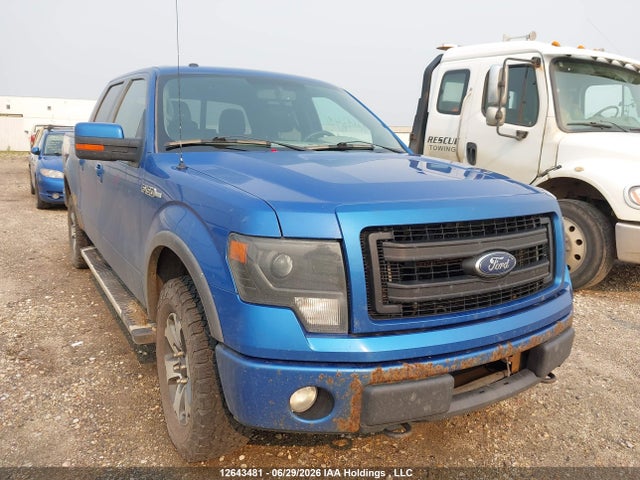 2013 Ford F-150 Fx4/king Ranch/lariat/platinum/xlt მანქანა იყიდება აუქციონზე, vin: 1FTFW1EFXDKE53614, აუქციონის ნომერი: 12643481
